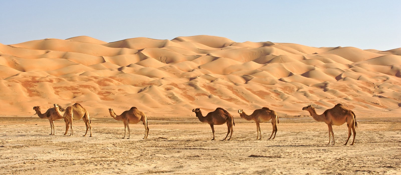 Oman: Fernreise zu zweit
