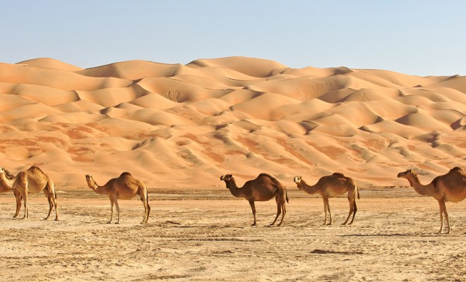 Oman: Fernreise zu zweit