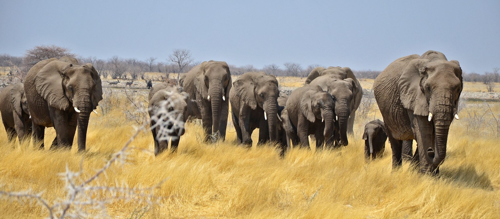 Namibia mit Joachim Sommer