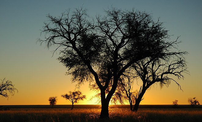 Afrika