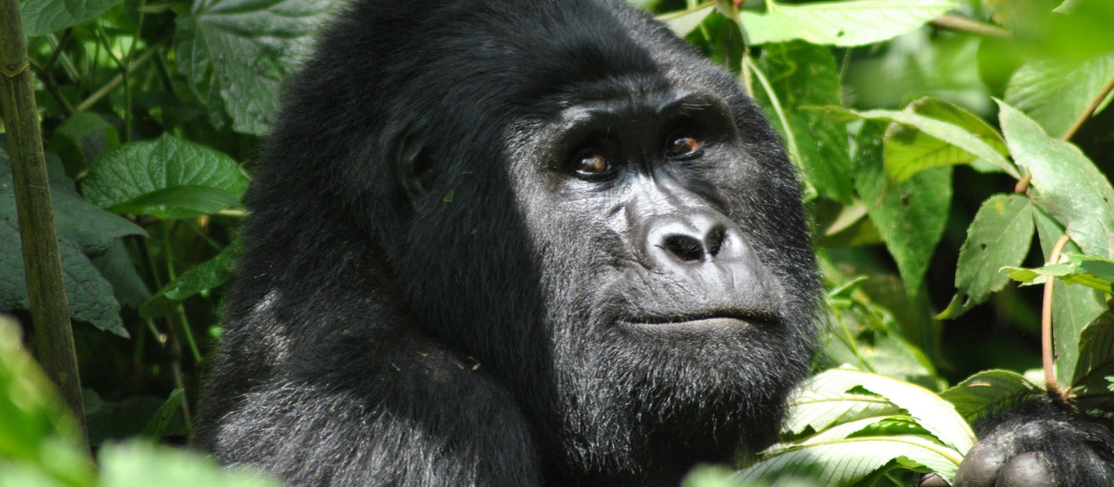 Uganda: Fernreisen zu zweit