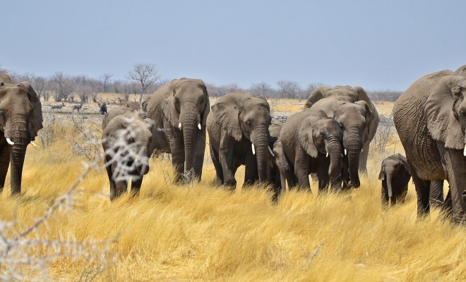 Namibia: Fernreisen zu zweit