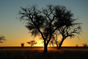 Namibia