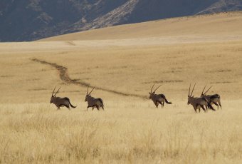 Namibia