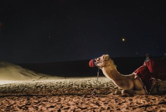 Emirate / Dubai