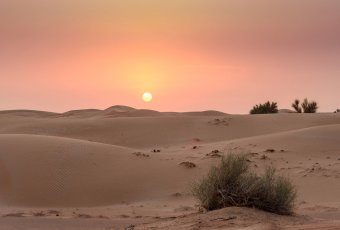 Emirate / Dubai