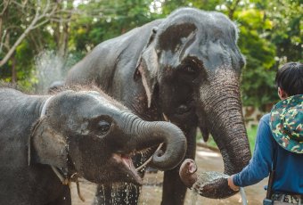 Thailand