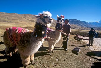 Peru