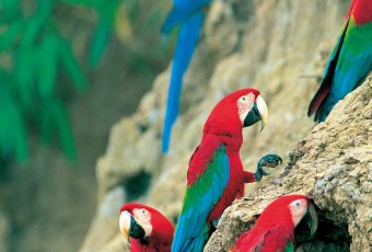 Peru