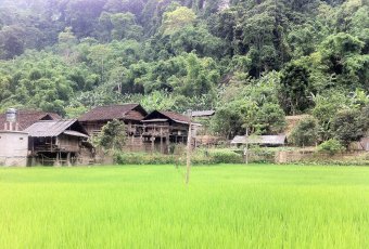 Vietnam