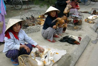 Vietnam